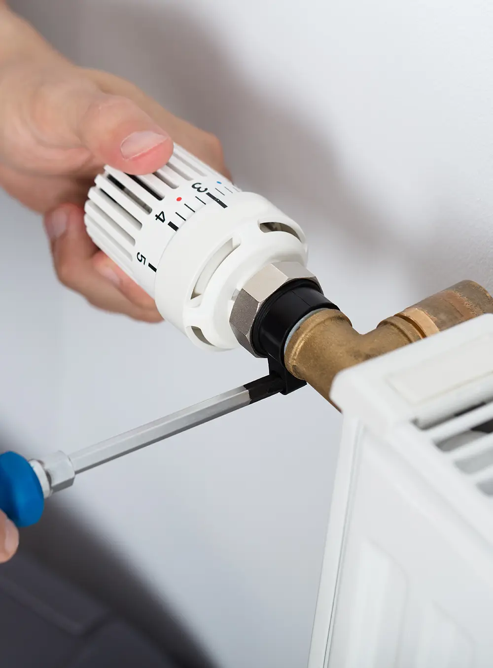 AdobeStock_187845104